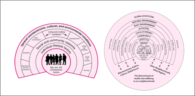 Two diagrams showing the wider determinants of health