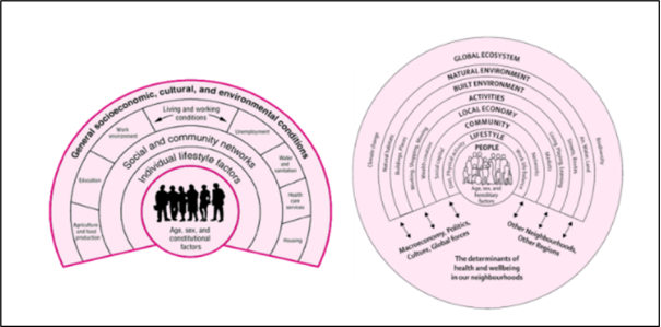 A diagram of different types of people

AI-generated content may be incorrect.